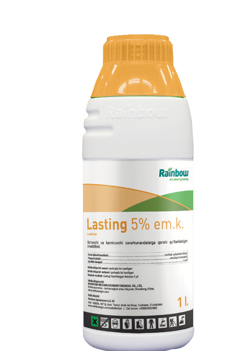 LASTING 5% em.k.