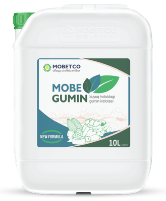 MOBE GUMIN